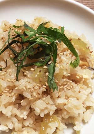 ☆シャリシャリ☆ふきの炊き込みご飯-レシピのメイン写真