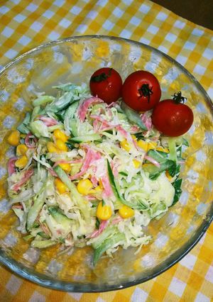 野菜がたっぷり食べれるコールスロー-レシピのメイン写真