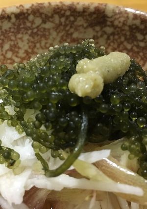 海ぶどうで即一品(*^_^*)-レシピのメイン写真