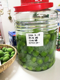 梅酒-レシピのメイン写真