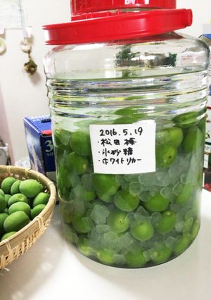 梅酒-レシピのメイン写真