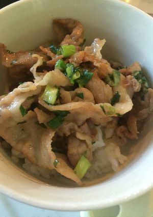 ガリバタ醤油のがっつり豚丼-レシピのメイン写真