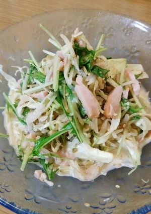 もやしでボリュームアップ！さっぱりサラダ-レシピのメイン写真