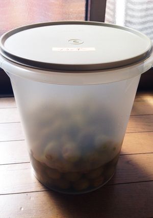 ブランデー梅干し-レシピのメイン写真