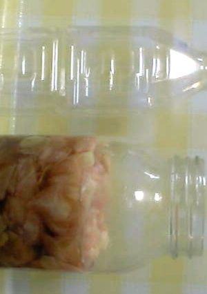 ピンクに変わるよ!!新生姜の甘酢漬け♪-レシピのメイン写真