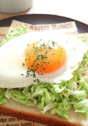 春キャベツとしらすのトースト-レシピのメイン写真