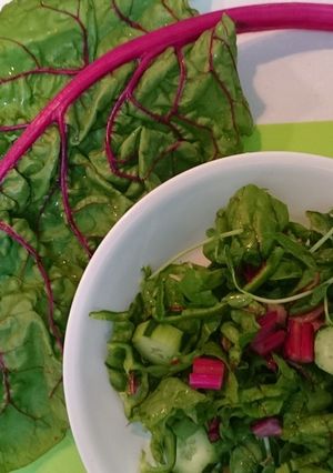 夏野菜ピエトロのグリーンサラダ-レシピのメイン写真