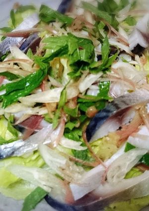しめ鯖でさっぱりサラダ...♪*ﾟ-レシピのメイン写真
