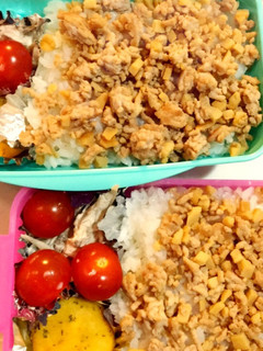 ヘルシー!節約!そぼろごはん-レシピのメイン写真