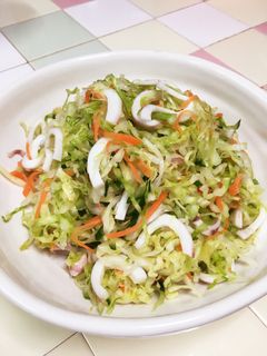 イカとキャベツの浅漬け風?なサラダ-レシピのメイン写真