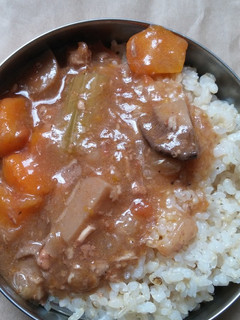 化学調味料フリーの手作りハヤシライス-レシピのメイン写真