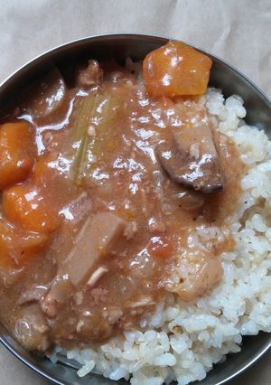 化学調味料フリーの手作りハヤシライス-レシピのメイン写真
