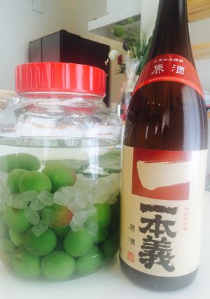 梅酒を日本酒で-レシピのメイン写真