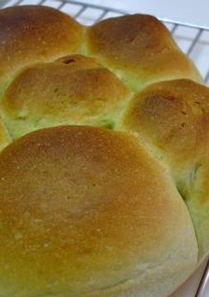 抹茶パン-レシピのメイン写真