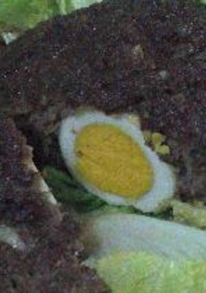 うまうま★ミートローフ-レシピのメイン写真