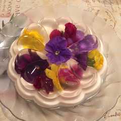 きれい⌘花のゼリー&ヨーグルトムース⌘-レシピのメイン写真
