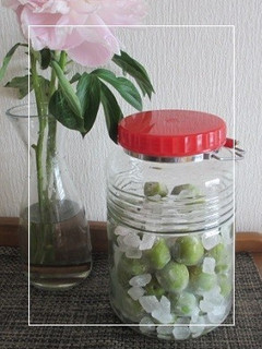 梅ジュース-レシピのメイン写真