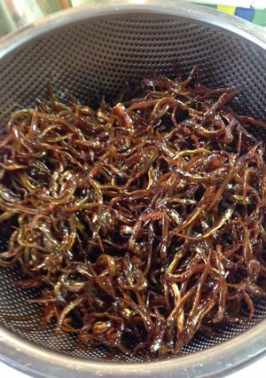イカナゴのくぎ煮-レシピのメイン写真