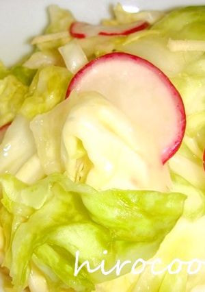 キャベツとラデイッシュの漬物-レシピのメイン写真