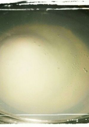 レンジでゆで卵or温泉卵を作ります-レシピのメイン写真