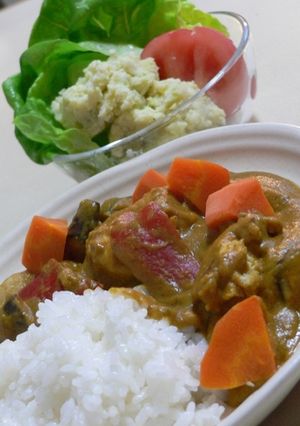ベジタリアンのカレー-レシピのメイン写真