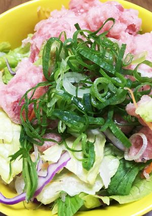 絶品☆☆☆マグロのたたきの茶漬け丼-レシピのメイン写真
