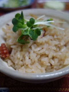 京番茶で炊く、蛸飯-レシピのメイン写真