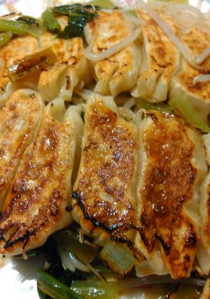 これがほんとの野菜餃子-レシピのメイン写真