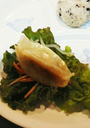 ごま油かおるタレで食べる巻き巻き餃子-レシピのメイン写真