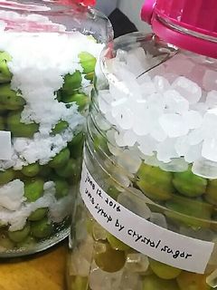 梅:砂糖=1:1で美味しい梅シロップ♪-レシピのメイン写真