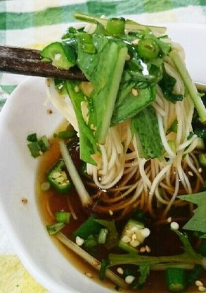 そうめん好きの♡つけ麺-レシピのメイン写真
