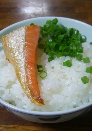 鮭とねぎ-レシピのメイン写真