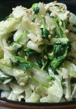 豆苗（２回目の芽）とキャベツのサラダ♪-レシピのメイン写真