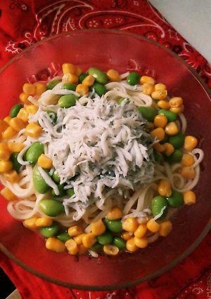 簡単冷やしうどん-レシピのメイン写真