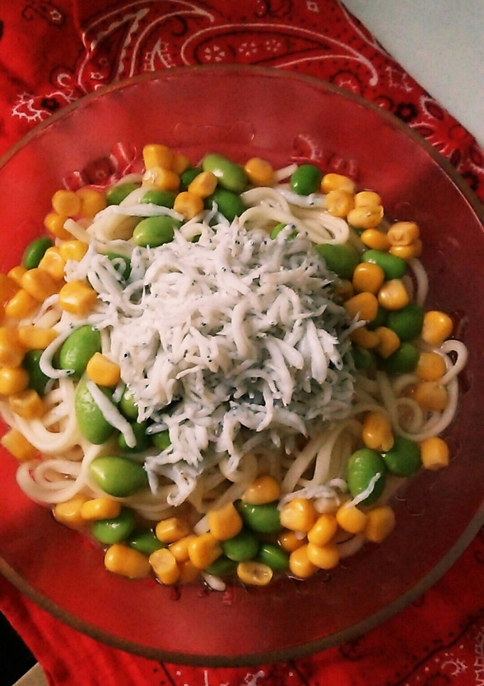 簡単冷やしうどん-レシピのメイン写真