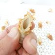 食品乾燥機で干しちくわ作り