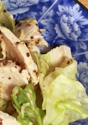 ゆで鶏とキャベツのマヨマスタード-レシピのメイン写真