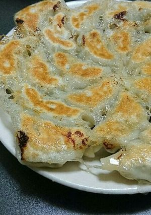 餃子-レシピのメイン写真