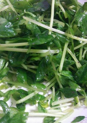 豆苗のサラダ-レシピのメイン写真