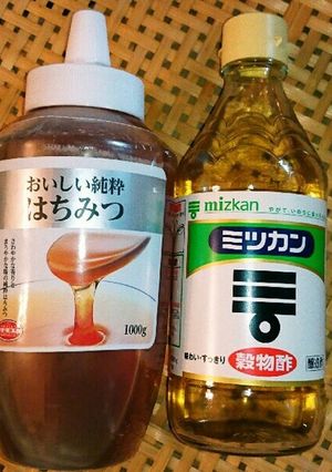 減塩梅干のトラブル対処方(発酵初期)-レシピのメイン写真