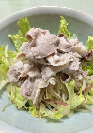薬味好きのためのさっぱり冷しゃぶサラダ-レシピのメイン写真