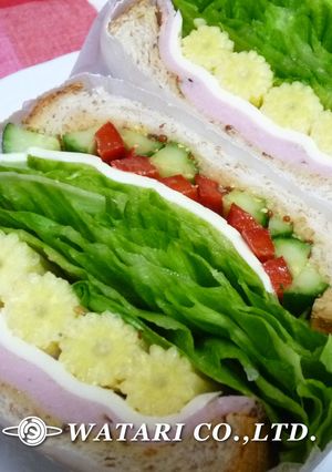 カフェ風♪ボリュームサンドイッチ◇花畑-レシピのメイン写真