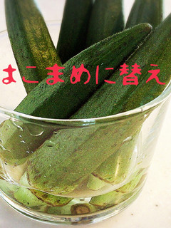 オクラの保存方法-レシピのメイン写真