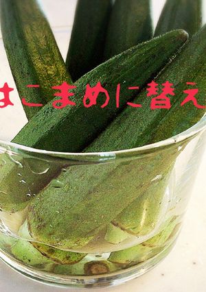 オクラの保存方法-レシピのメイン写真