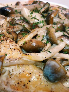 簡単おしゃれ♥ささみとキノコのクリーム煮-レシピのメイン写真