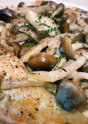簡単おしゃれ♥ささみとキノコのクリーム煮-レシピのメイン写真