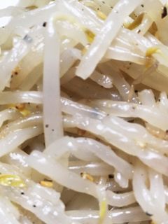 常備菜3☆もやしのナムル♪お弁当にも!-レシピのメイン写真