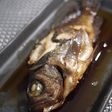 魚を捌こう!メバル煮つけ編