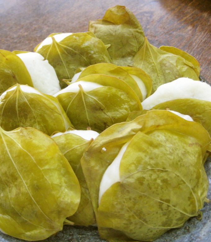 甘さ控えめ！昔ながらのかしわもち by クックたくま359