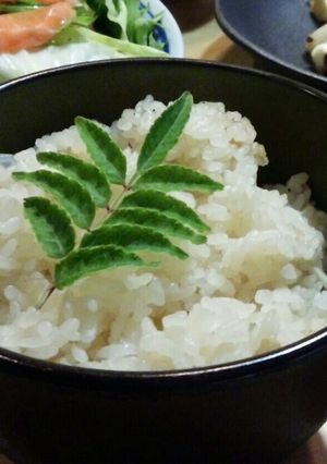 山椒風味の筍生姜ご飯-レシピのメイン写真